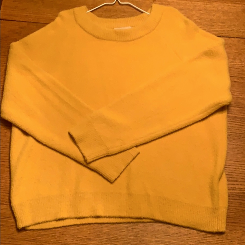 Philosophy Sweater